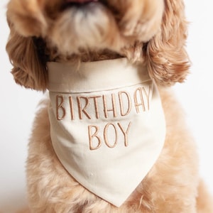 birthday boy dog bandana in linen blend fabric neutral colors