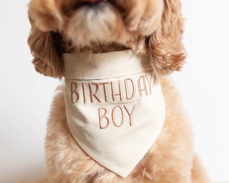 birthday boy dog bandana in linen blend fabric neutral colors