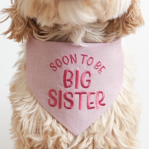 Embroidered Big Sister Dog Bandana: Mauve Chambray, Pregnancy Announcement