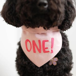Bandana de cachorro com botões de pressão em formato de flor rosa: Bandana de aniversário bordada
