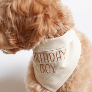 birthday boy dog bandana in linen blend fabric neutral colors