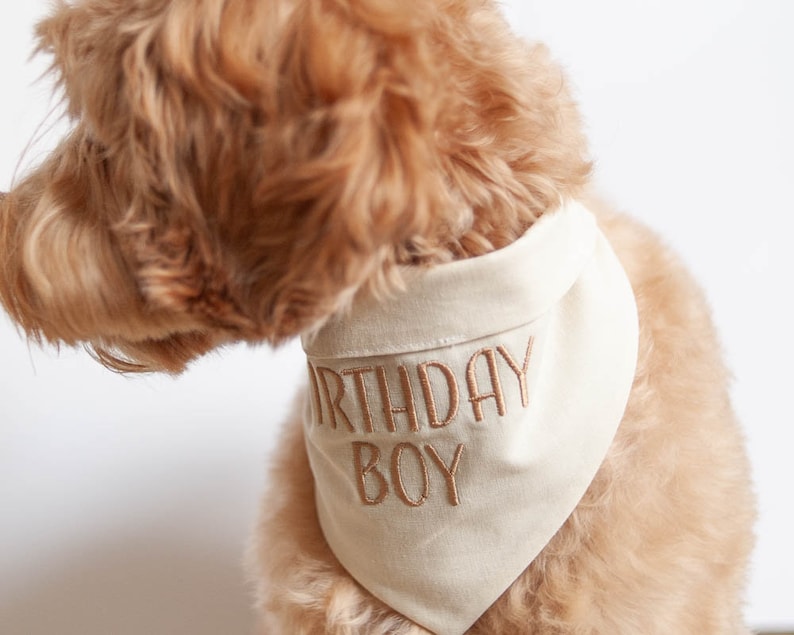 birthday boy dog bandana in linen blend fabric neutral colors