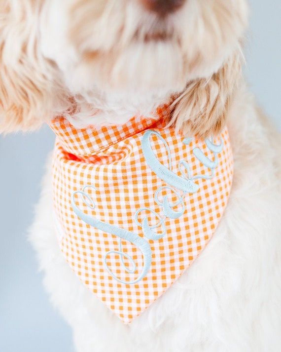 Gingham top dog bandana