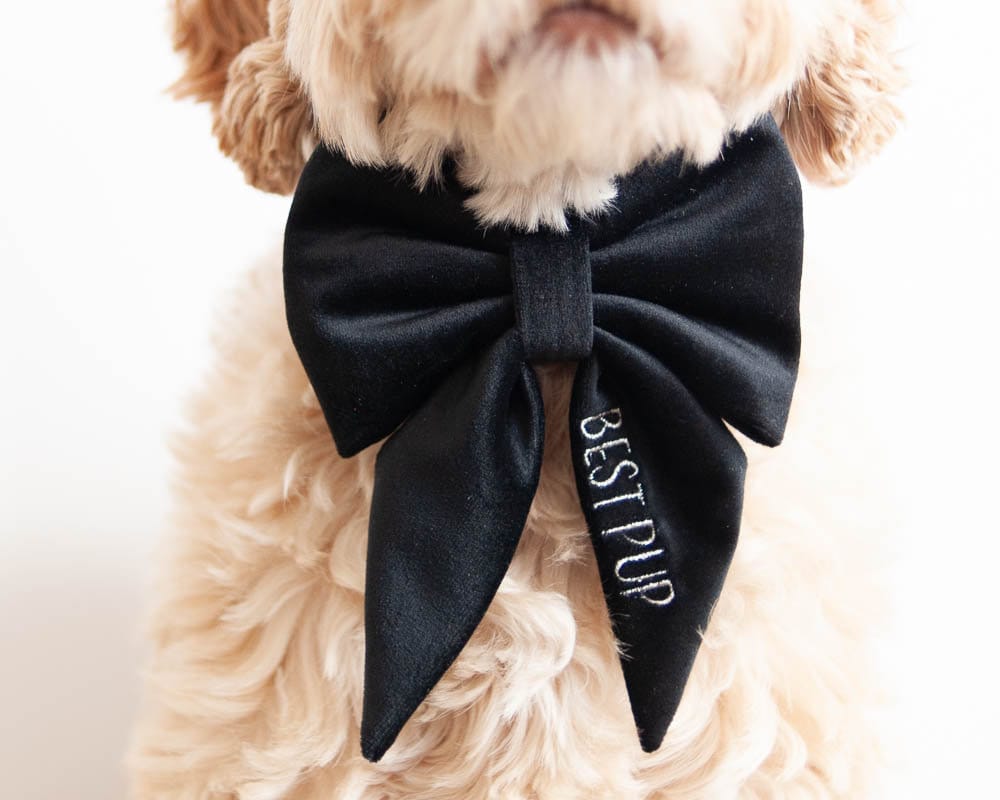 Black Dog Bow w/ Embroidery, Personalized Velvet Collar Bow, Dog Sailor Bow, Dog Bowtie, Bow for Dog Collar | Embroidery: Up to 7 Letters