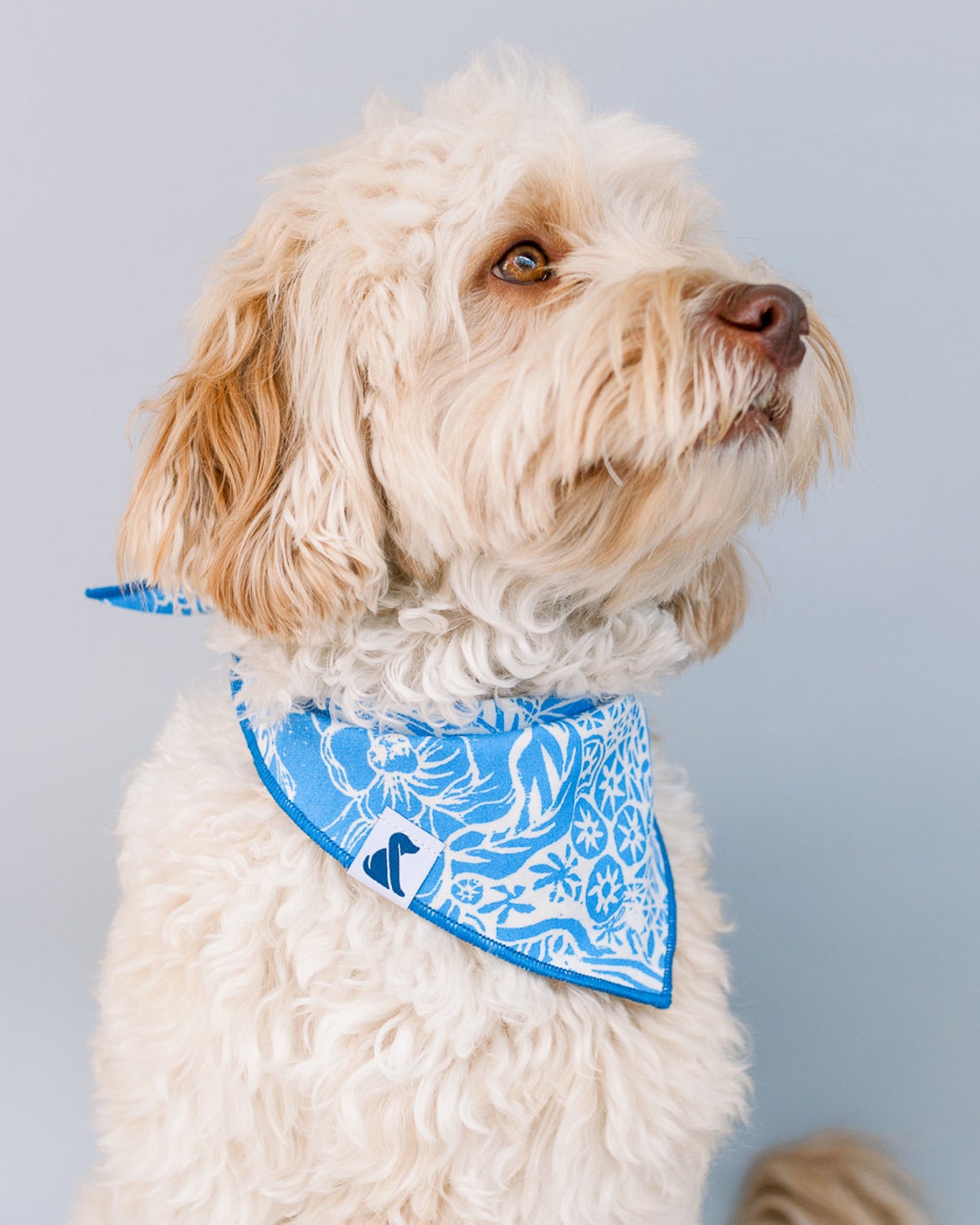 Blue Floral Dog Bandana/ Snap on Bandana/ Custom Dog Bandana/ Etsy