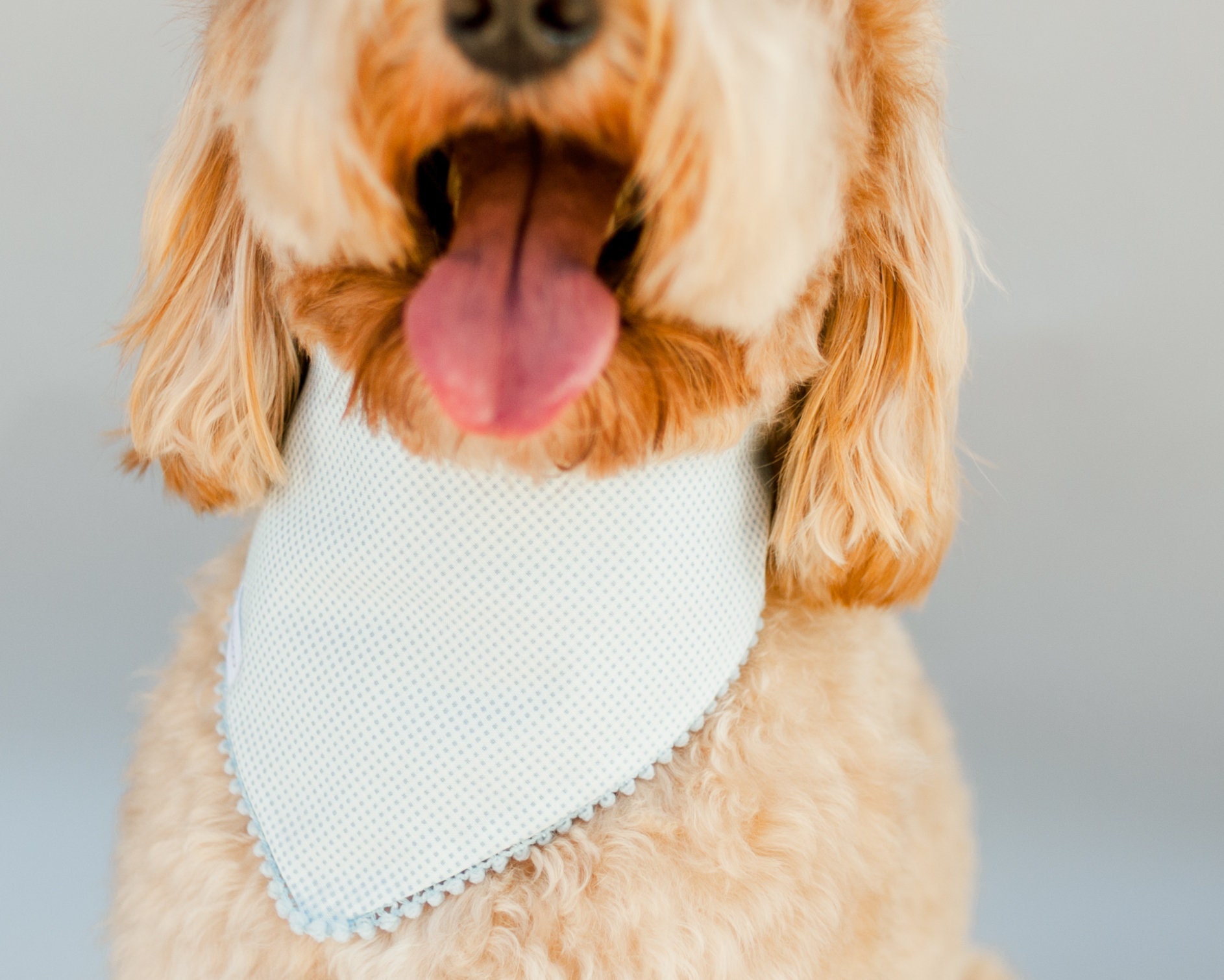 DOG Bandana with snaps / Bandana for Dogs / Mint Blue Pom Edge Etsy