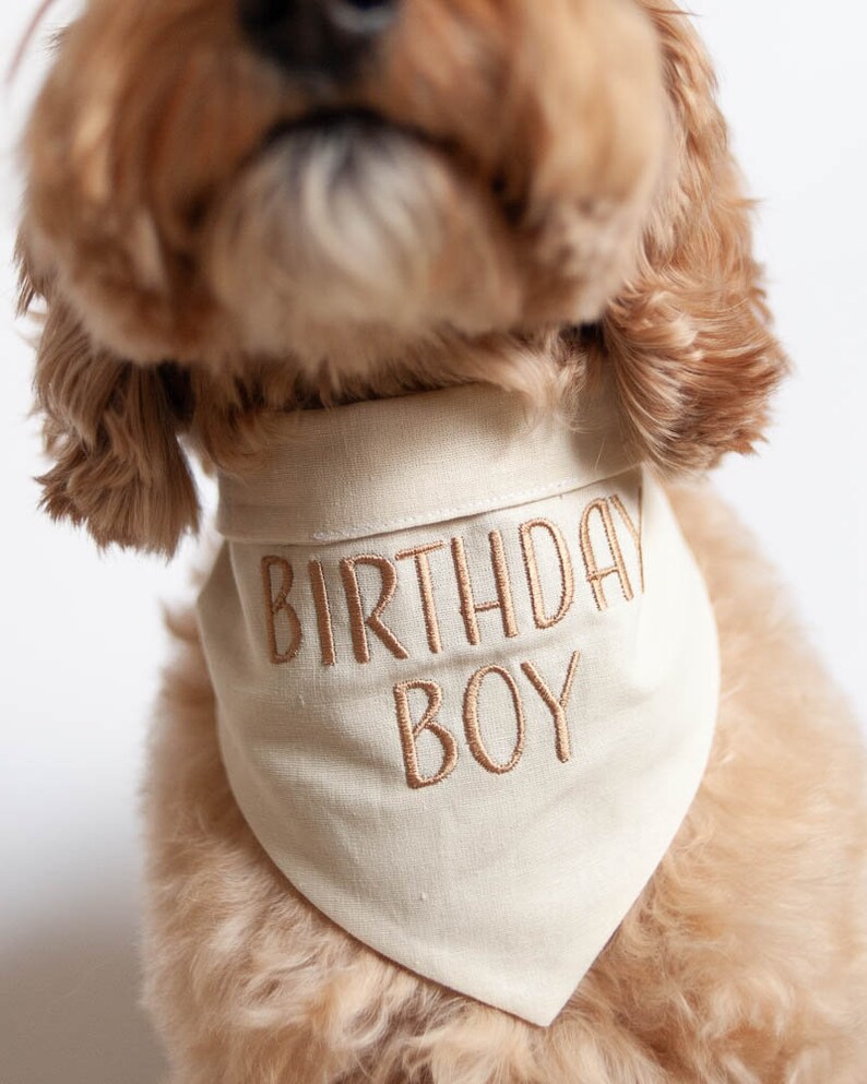 Ivory Birthday Boy Dog Bandana with Snaps Linen/Cotton Blend Bandana Custom Bandana Personalized with Birthday Boy for Dog's Birthday image 10