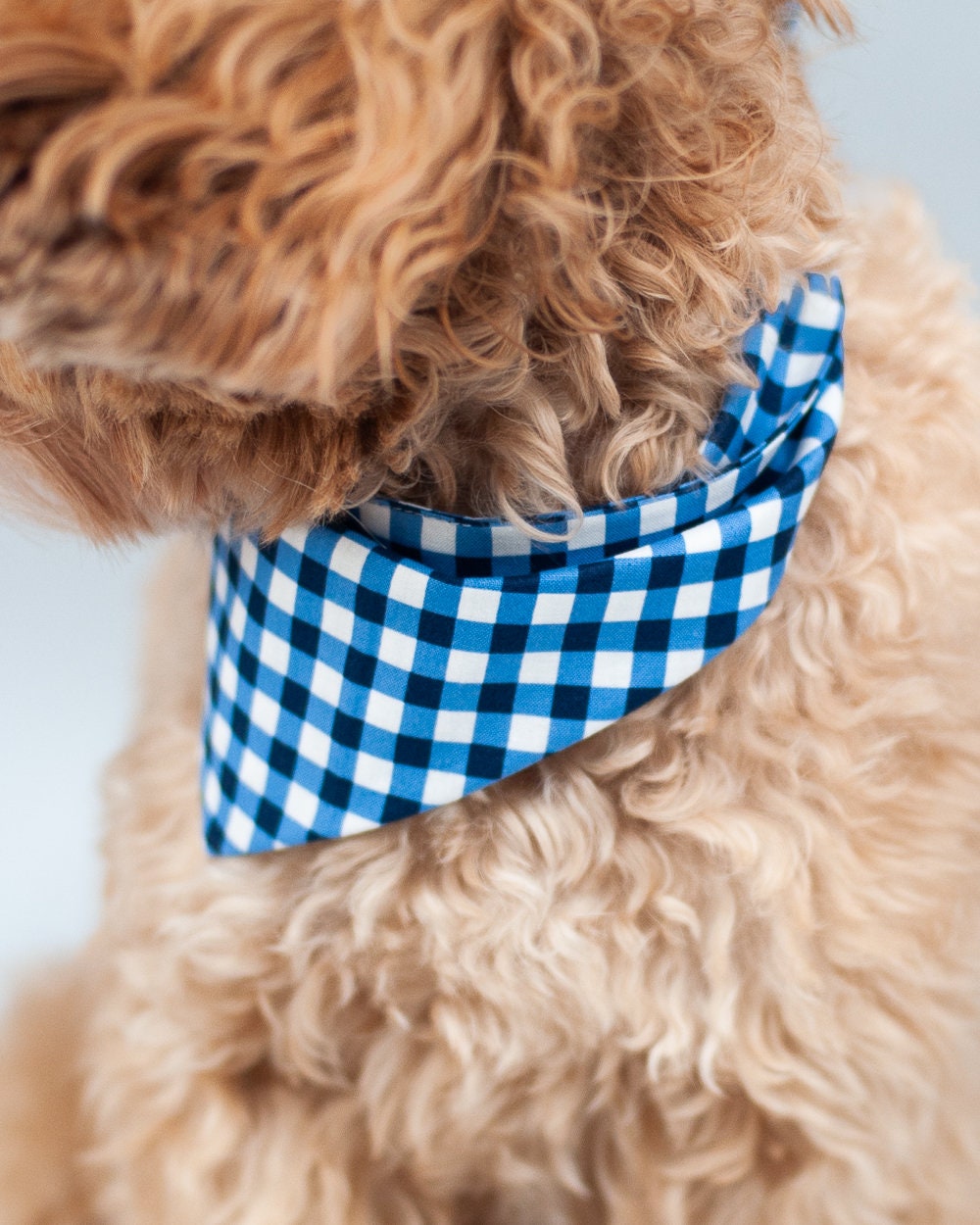 Preppy dog accessories 2025