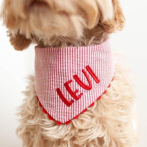 Red Seersucker Bandana with Snaps Bandana for Dog Custom Bandana Personalized with Name Embroidered Red Stripes Bandana Gift for Dog Mom