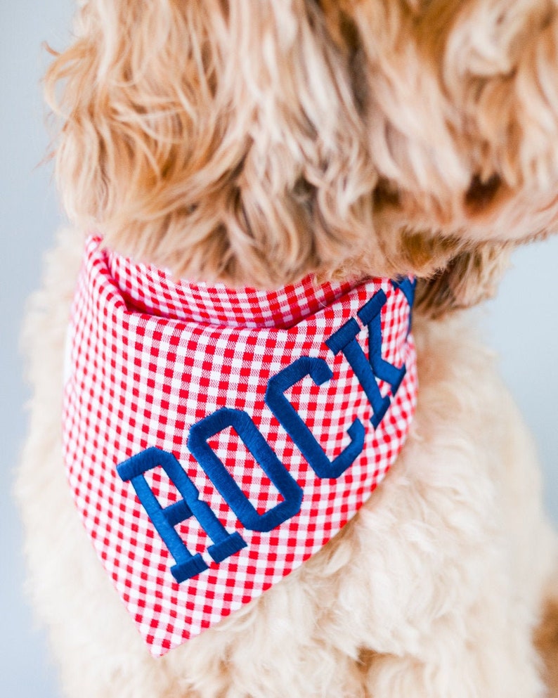 red gingham dog bandana with blue embroidery