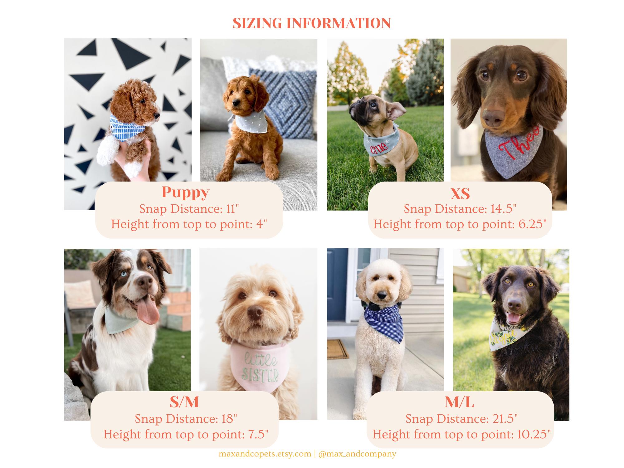 Fall Dog Bandana, New Puppy Gift, Tiny Pumpkins Dog Bandana with Snaps, Puppy Gift, Custom Bandana Personalized with Name Embroidered