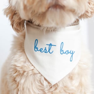 Best Boy Bandana for Dog, Snap On Dog Bandana, Custom Text Wedding Bandana, Engagement Announcement Bandana, Custom Dog | MOON CHAMBRAY