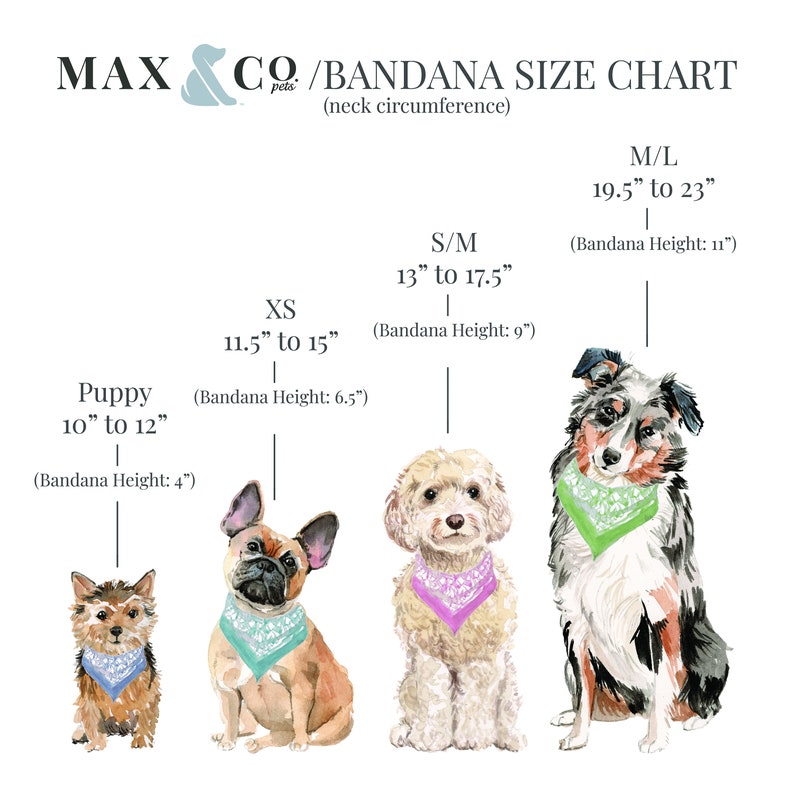 DOG Bandana With Snaps / Mint Gingham Etsy