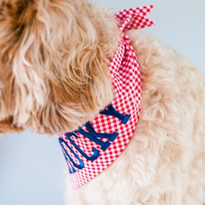 red gingham dog bandana with blue embroidery