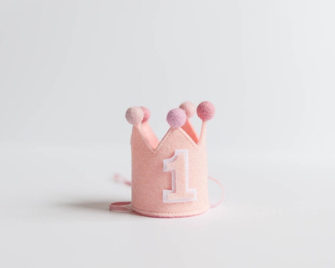 Baby Pink Dog Birthday Crown Mini Dog Birthday Hat Dog Hat Dog Birthday