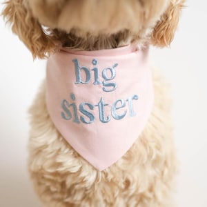 Big Sister Dog Bandana with Snaps Bandana for Dog Pregnancy Announcement New Dog Sibling Dog Mom Gift | Pink Blossom Baby Announcement
