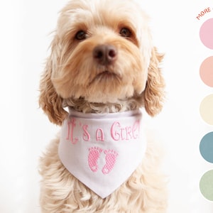 Bandana con broches para perro &quot;Es una niña&quot;, bandana para perro para anunciar un bebé, anuncio de embarazo, regalo para la mamá de un perro que acaba de nacer, &quot;Es un niño&quot;