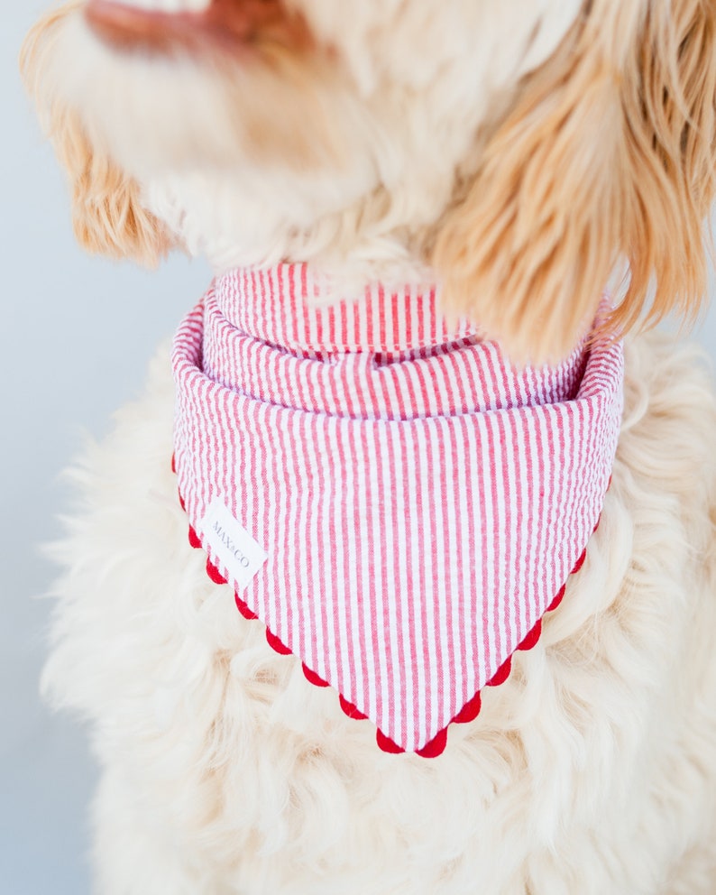 DOG Bandana With Snaps / Bandana for Dogs / Red Seersucker Etsy