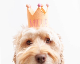 Orange Birthday Crown Embroidered Birthday Crown for Dogs First Birthday Crown Custom Dog Birthday Hats Dog Birthday Keepsake Dog Party Hat