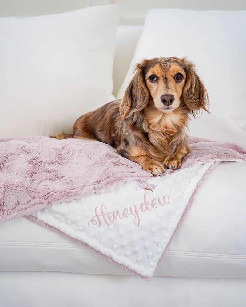 Pink dog blanket sale