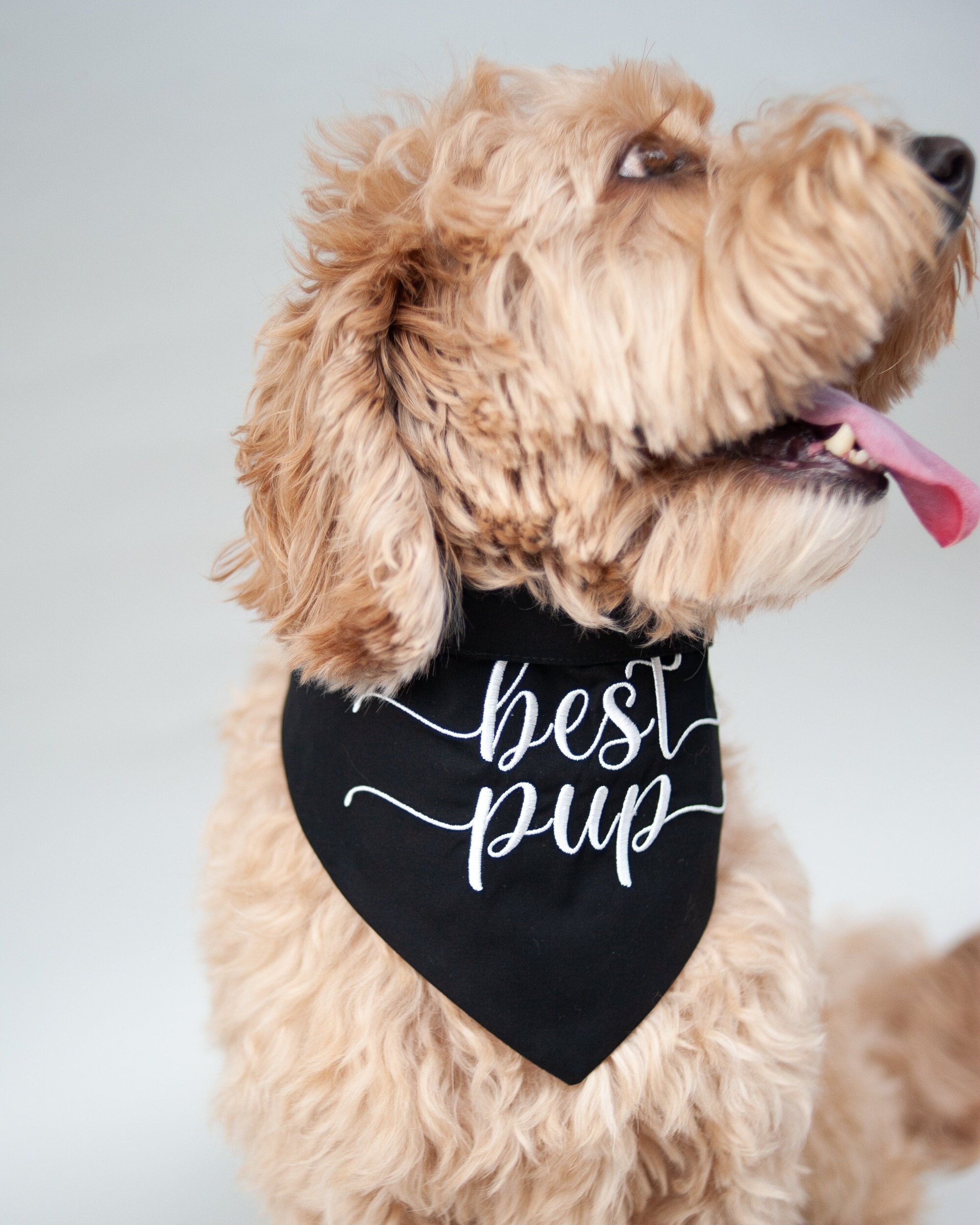 Best Dog Bandana Etsy UK