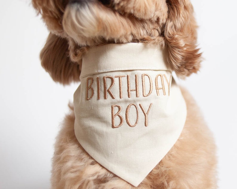 Ivory Birthday Boy Dog Bandana with Snaps Linen/Cotton Blend Bandana Custom Bandana Personalized with Birthday Boy for Dog's Birthday image 9
