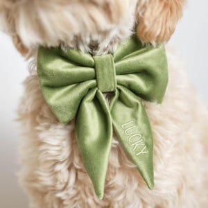 Avocado Green Dog Bow w/ Embroidery, Personalized Velvet Collar Bow, Dog Sailor Bow, Dog Bowtie, Bow for Dog Collar | Dog Wedding Bow