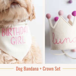 Conjunto de aniversariante para cachorro creme, bandana e coroa para cachorro, roupa para o primeiro aniversário do cachorro, chapéu bordado personalizado + bandana para cachorro, aniversário de filhote