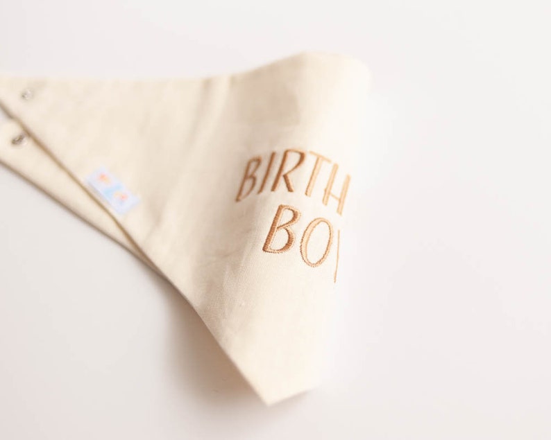 birthday boy dog bandana in linen blend fabric neutral colors