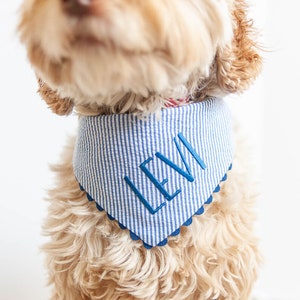 seersucker dog bandana in blue with embroidery