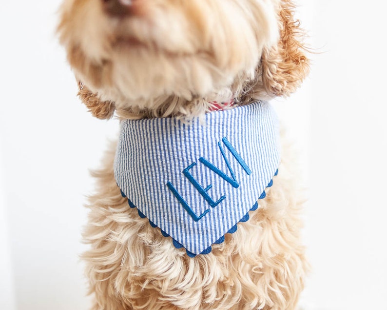 seersucker dog bandana in blue with embroidery