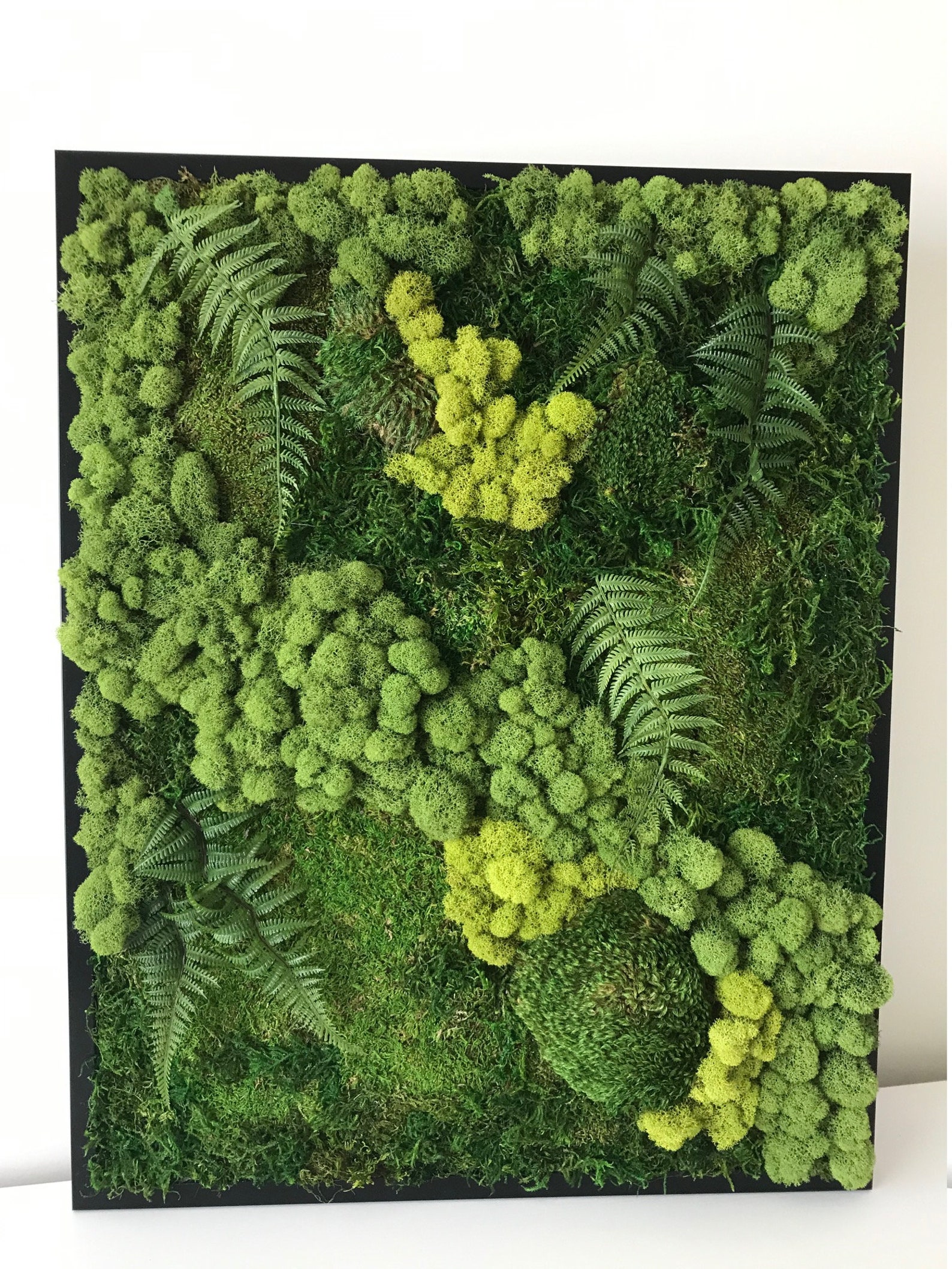 Made to order Moss Wall Art Moss Art Vertical Garden Etsy