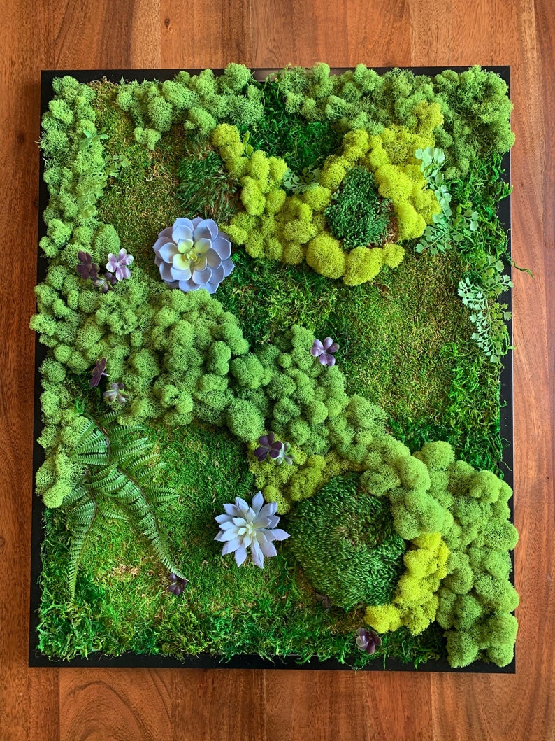 Live Moss Wall Art live moss art live wall art living wall Etsy