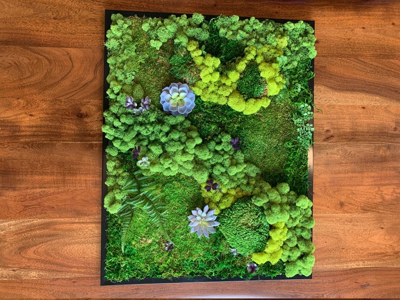 Live Moss Wall Art live moss art live wall art living wall Etsy