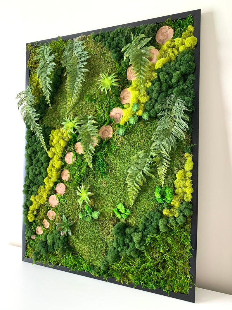 Moss Wall Art 32X24 , Moss Art, Vertical Garden, Preserved Moss, Frame