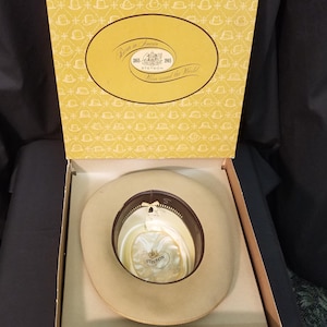 Vintage 1970&#39;s Stetson Twenty Five Taupe Open Road Cowboy Hat, Size 6 7/8, Western Rancher Stetson Hat Fedora, Original Box