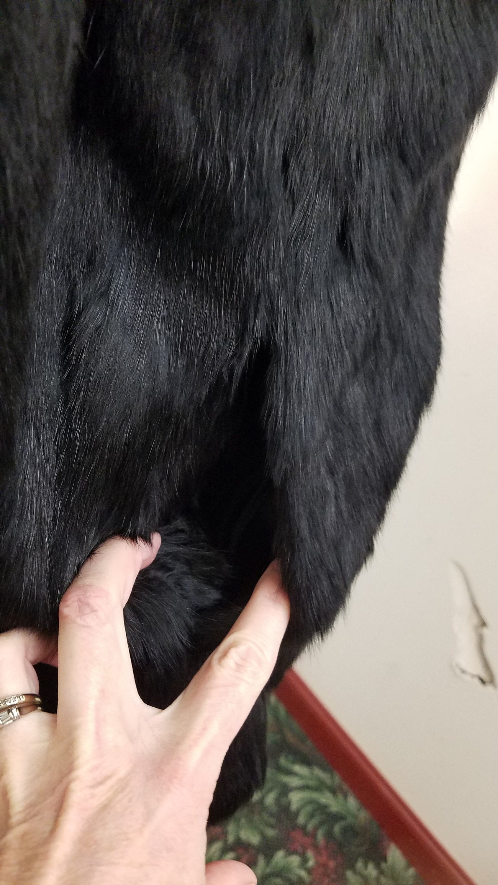 Vtg 80's Somerset Furs Los Angeles Natural Black Rabbit Fur Vtg 80's Somerset Furs Los Angeles Natural Black Rabbit Fur
