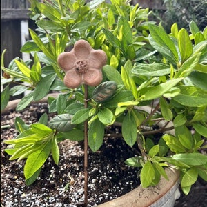 Apple Blossom Plant Pick, Flower Plant Stake, Garden Stake, Gardener Gift, Plant Decorations, Garden Decor, Gift for Mom, Gift for Home