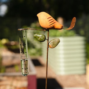 Spice Bird Rain Gauge, Garden Rain Gauge, Garden Decor, Yard Decor, Bird Outdoor Decor, Gardener Gift, Patio Decor, Rain Gauges, Gardening