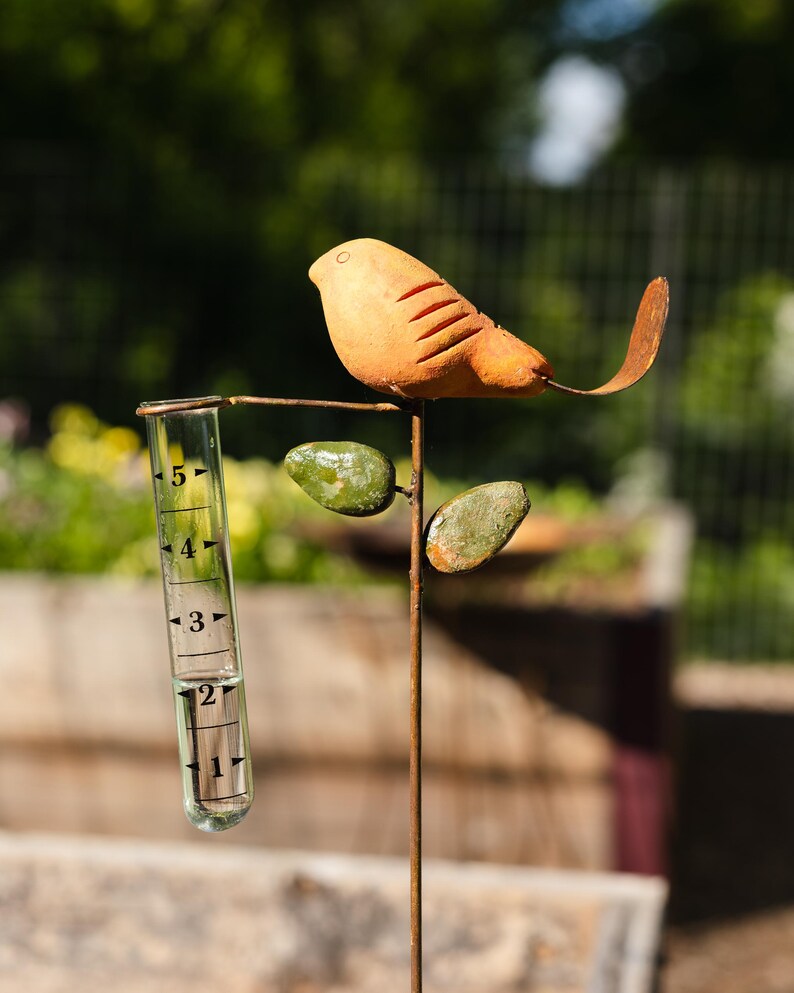 Bird Rain Gauge with Terra Cotta Design, Metal Garden Decor for Outdoor Spaces bild 4
