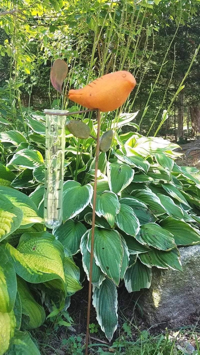 Bird Rain Gauge with Terra Cotta Design, Metal Garden Decor for Outdoor Spaces bild 8