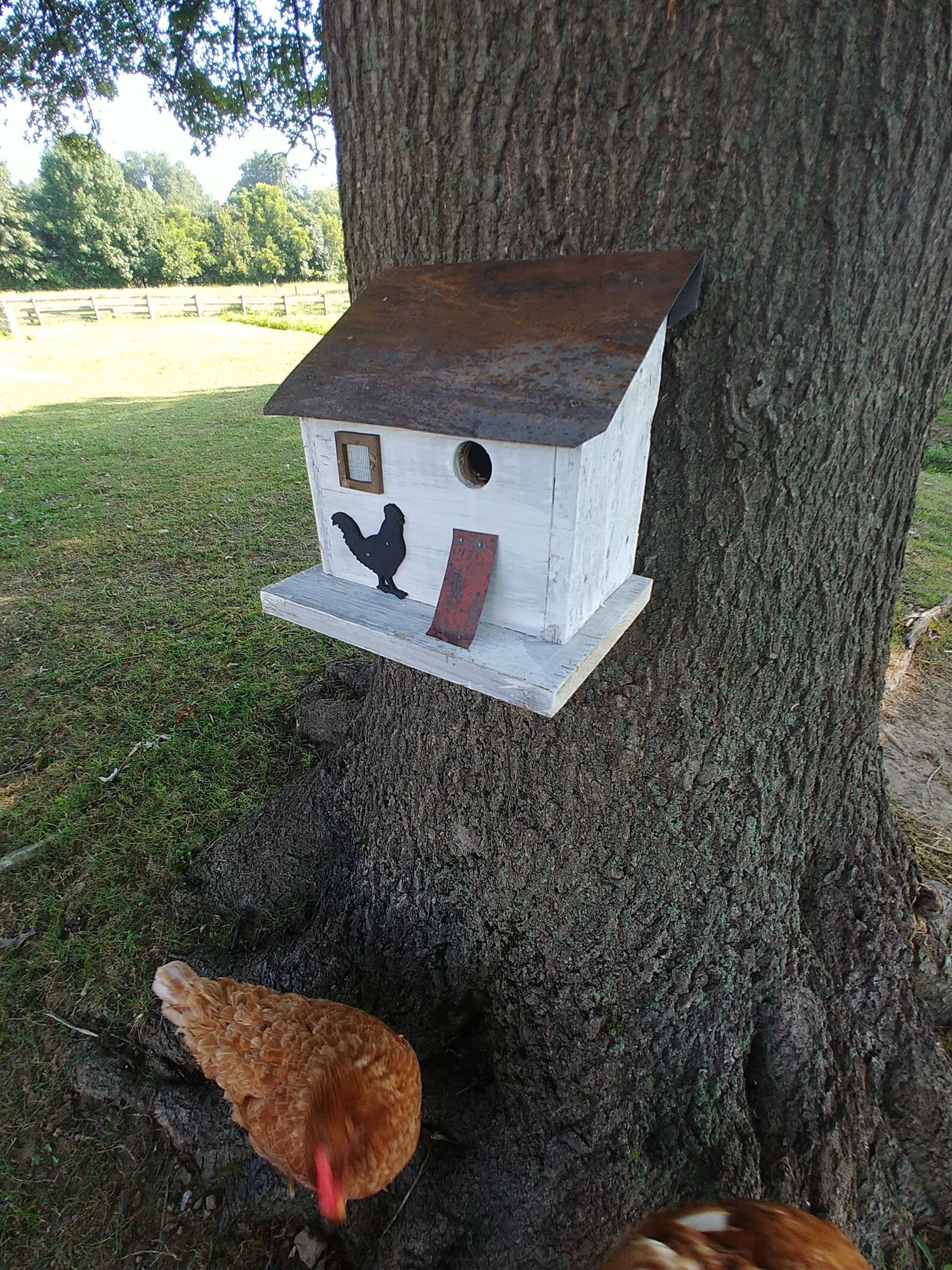 Chicken Coop Bird House by Happy Gardens Wooden Bird House Etsy