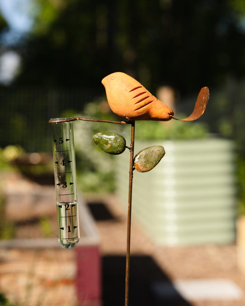 Bird Rain Gauge with Terra Cotta Design, Metal Garden Decor for Outdoor Spaces bild 2