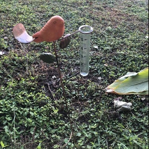 Bird Rain Gauge with Terra Cotta Design, Metal Garden Decor for Outdoor Spaces bild 6
