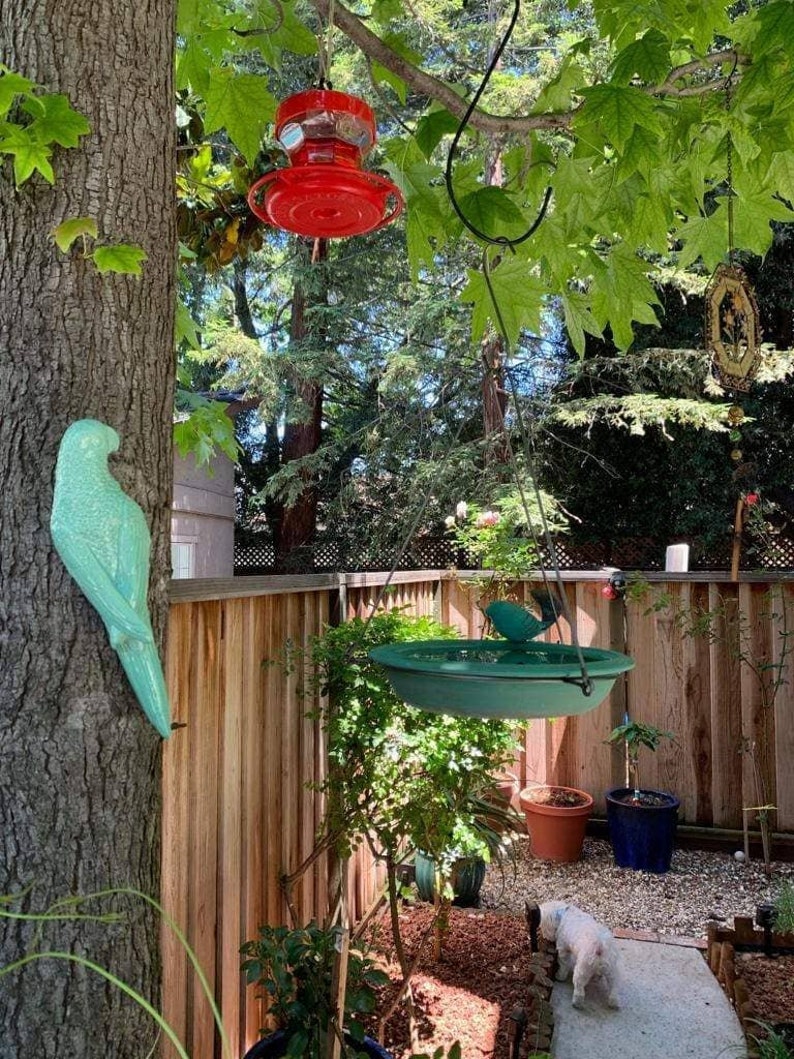 Puede incluir: Una escena de jard&iacute;n con un comedero de p&aacute;jaros verde colgado de una rama de &aacute;rbol, un comedero de colibr&iacute;es rojo colgado de una rama de &aacute;rbol, una figurita de p&aacute;jaro de cer&aacute;mica verde unida al tronco de un &aacute;rbol y un perro blanco caminando por un sendero.