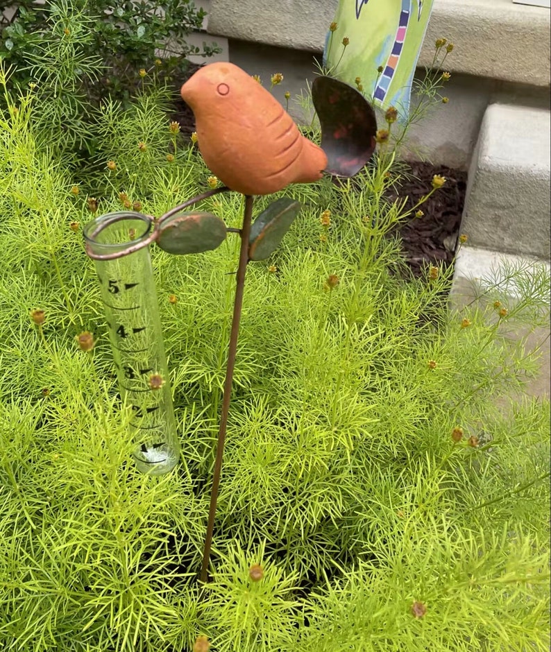 Bird Rain Gauge with Terra Cotta Design, Metal Garden Decor for Outdoor Spaces bild 7