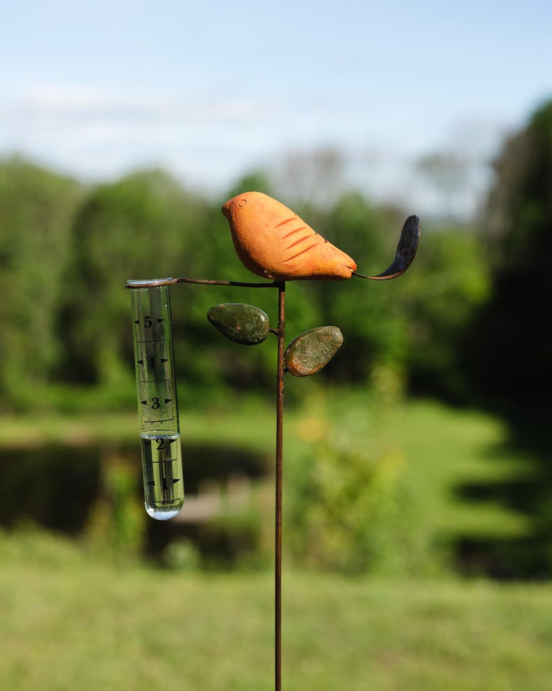 Bird Rain Gauge with Terra Cotta Design, Metal Garden Decor for Outdoor Spaces bild 3