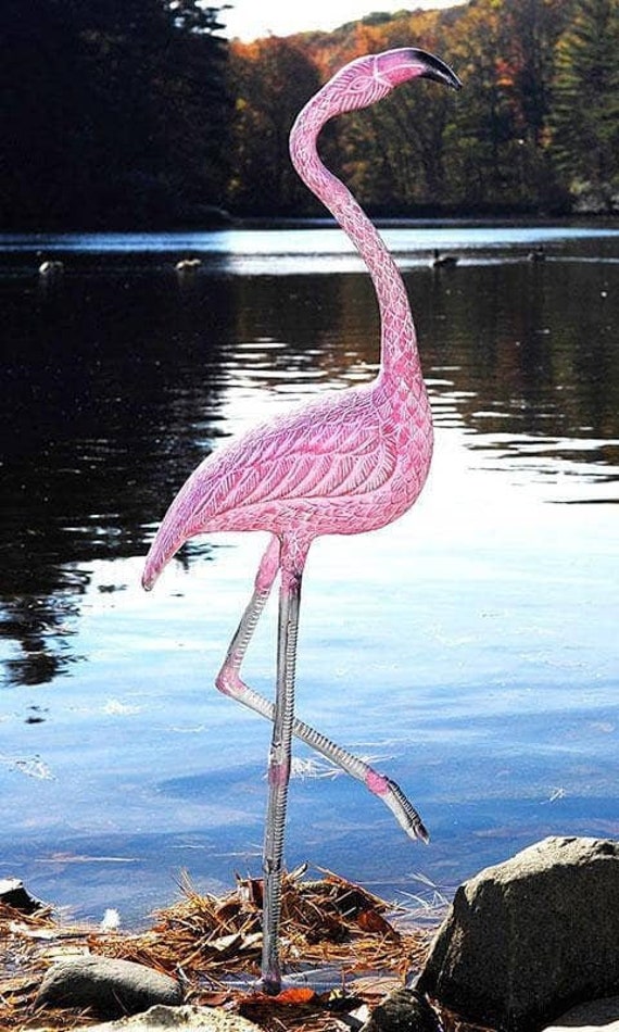 American Flamingo Statue Garden Statues Stone Statues Etsy