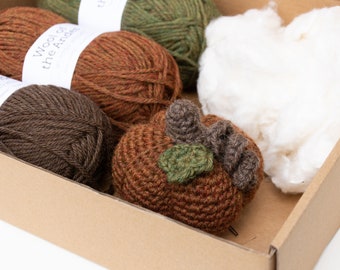 Pumpkin Crochet Kit, Beginner Crochet Kit, Ecofriendly Craft Kit, Pumpkin Crochet Pattern, Amigurumi Kit, Halloween Craft, Sustainable Gift