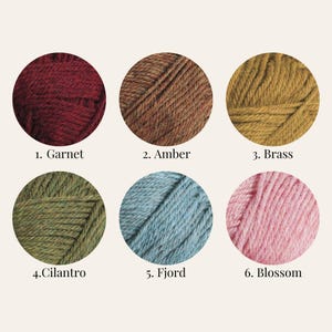 May include: Six skeins of yarn in different colors, labeled 1. Garnet, 2. Amber, 3. Brass, 4. Cilantro, 5. Fjord, and 6. Blossom.